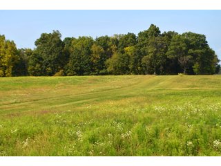 Dekalb County, Indiana Farmland - MAJOR LAND AUCTION - 516+/- ACRES OFFERED IN 18 TRACTS OR COMBINATIONS IN DEKALB COUNTY, INDIANA
